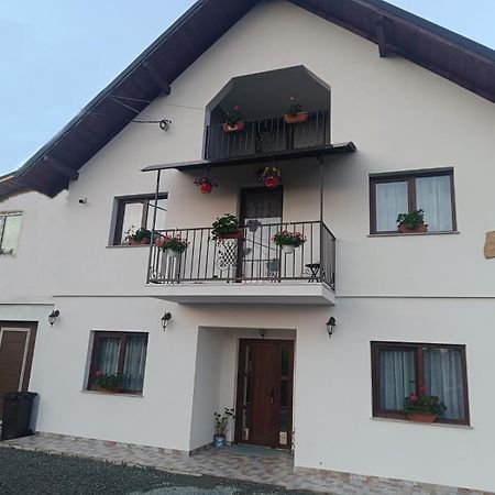 Willa Casuta Din Livada Moisei Zewnętrze zdjęcie
