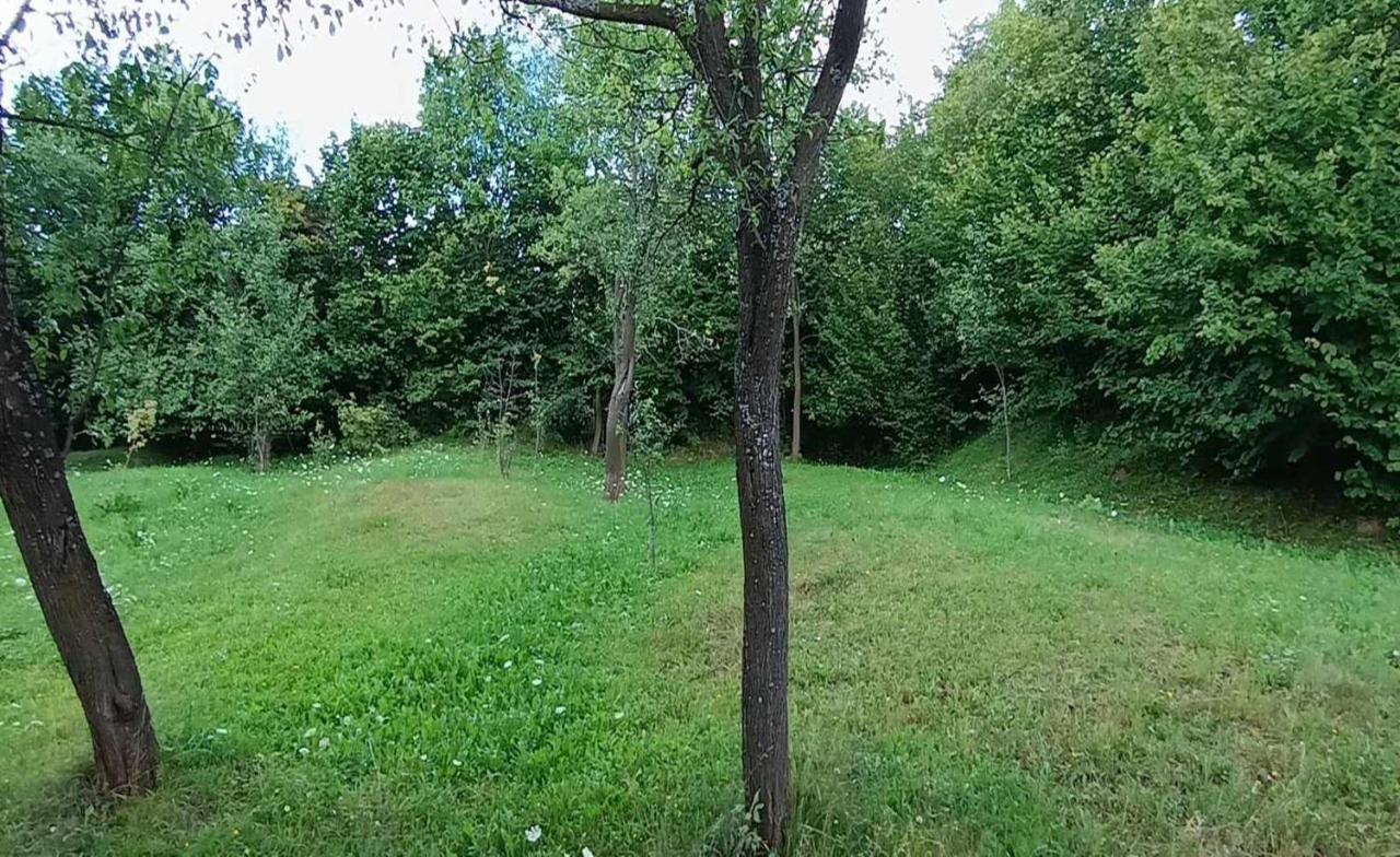 Willa Casuta Din Livada Moisei Zewnętrze zdjęcie