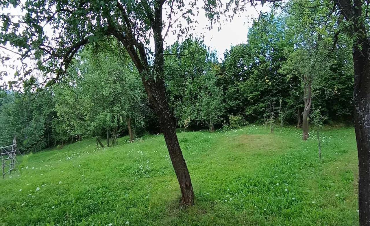 Willa Casuta Din Livada Moisei Zewnętrze zdjęcie